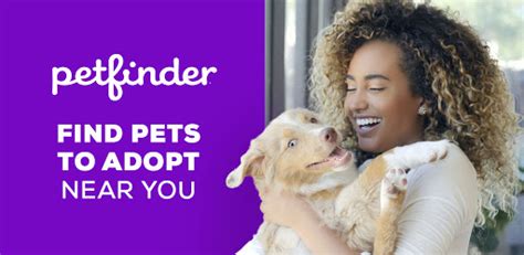 petfinder|petfinder vs adopt a pet.